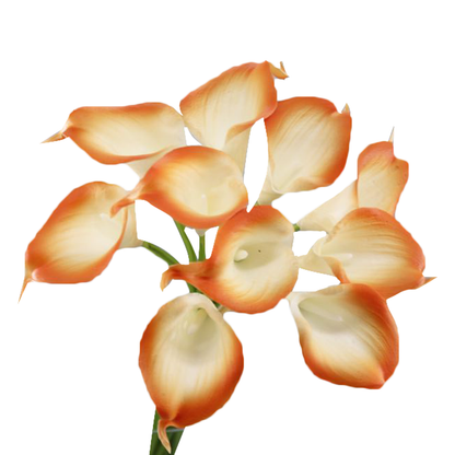 Pack of 10-Peach Coral Brown real touch 14inch calla lilies: Tangerine