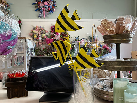 Angel fish Black and /3