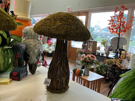 17” moss/twig mushroom