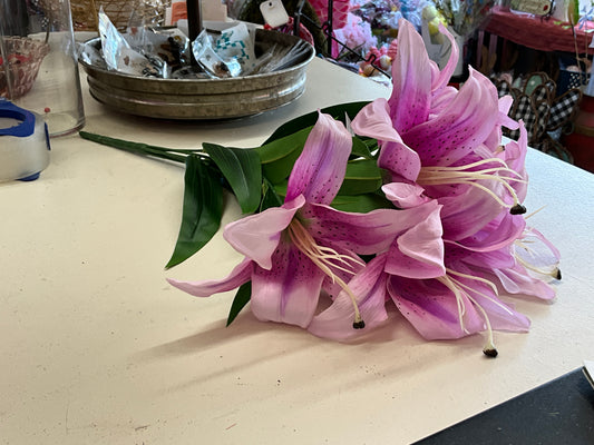 Purple lilies ￼