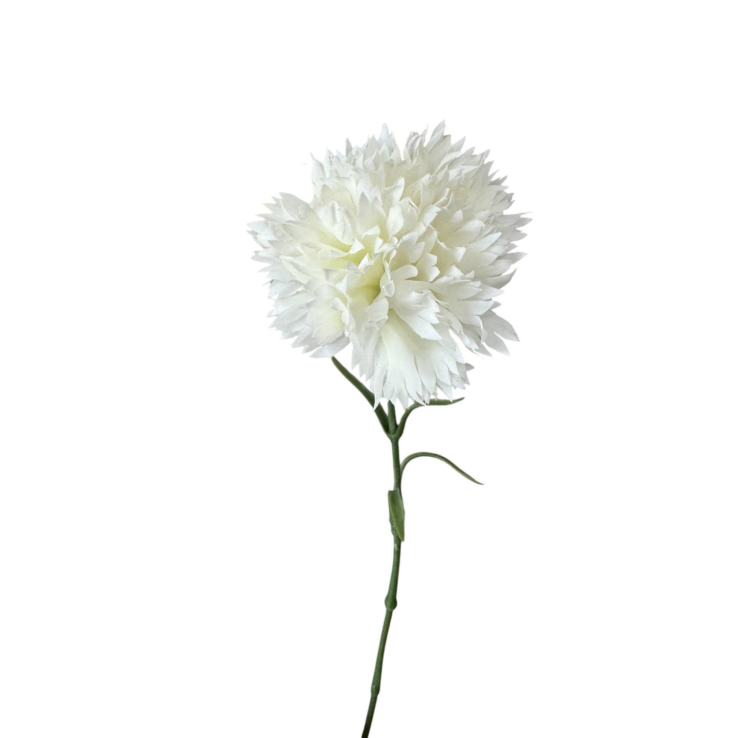 19.5"-Real Touch Needle Petal Modern Look Carnation: Natural White