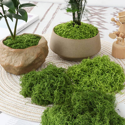 Artificial Thread Moss Rustic decoration Fake Moss grass: Light Green