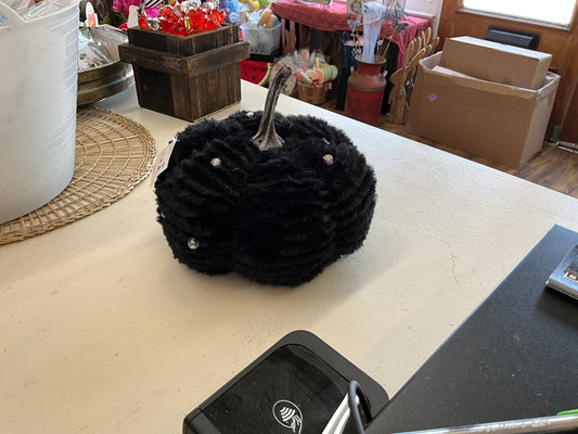 eerie black pearl pumpkin