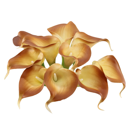 Pack of 10-Peach Coral Brown real touch 14inch calla lilies: Tangerine