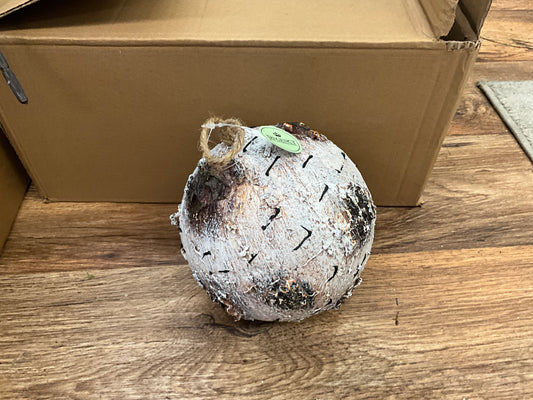 7” foam birch ball ornament /crbr￼