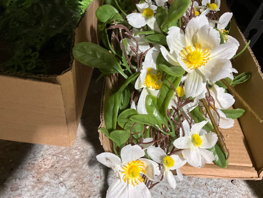 Cosmo Spray - CancreekDesigns