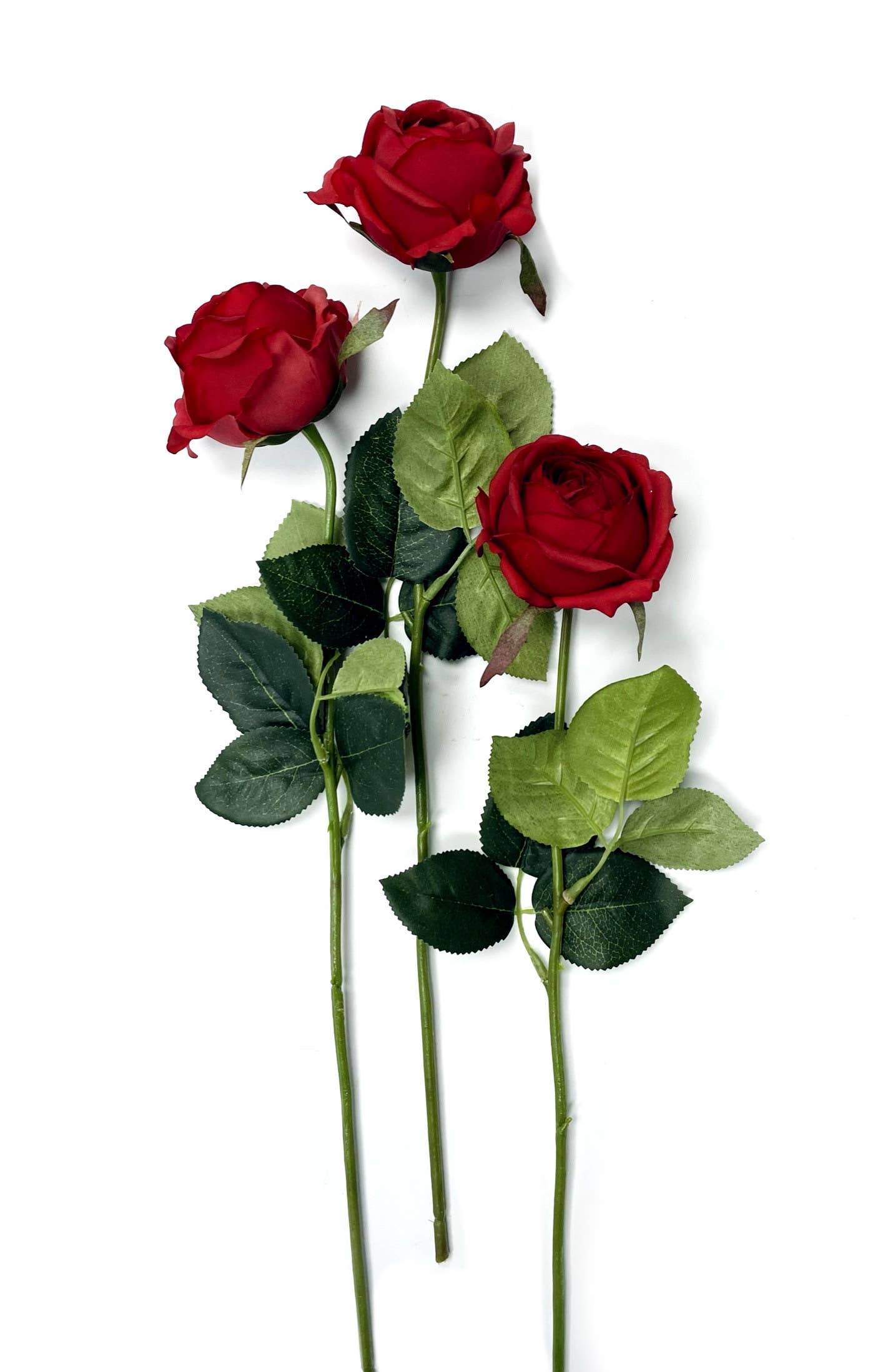 17"-Ultra Realist Real touch Cabbage Rose-Artificial : Off-White
