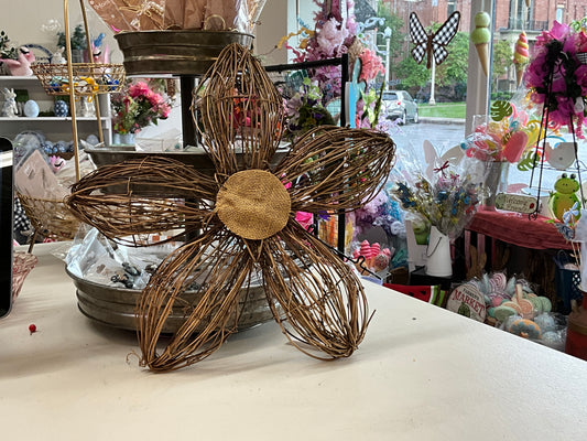 Grapevine Daisy