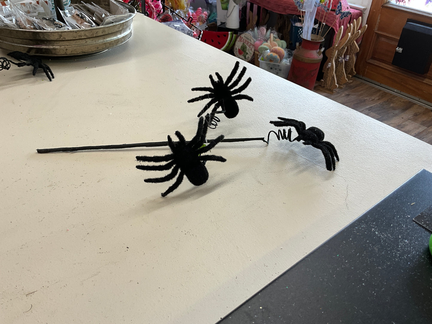 Velvet spider pic /3