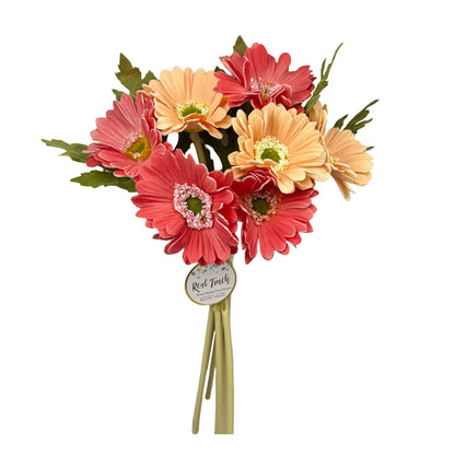 Pack of 7 stems-All Season Colorful Real Touch Daisy : Peach Coral Mixed
