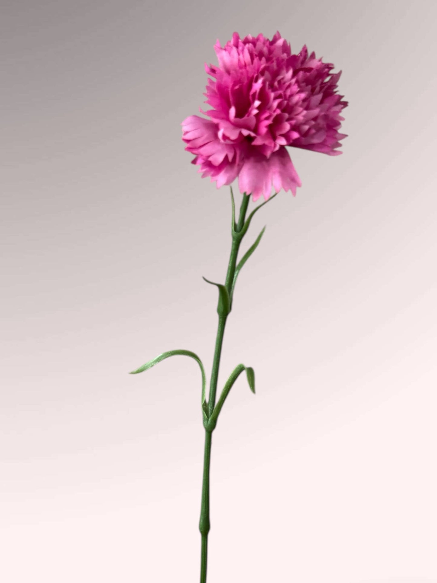 19.5"-Real Touch Needle Petal Modern Look Carnation: Natural White