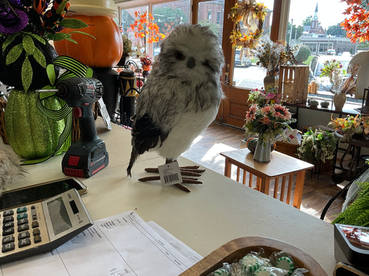 15” striped fur standing owl ￼