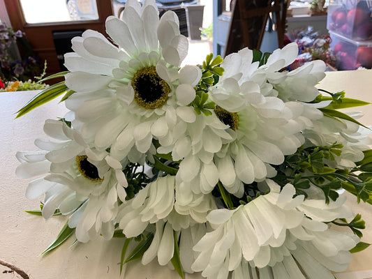 White Gerber Daisies - CancreekDesigns