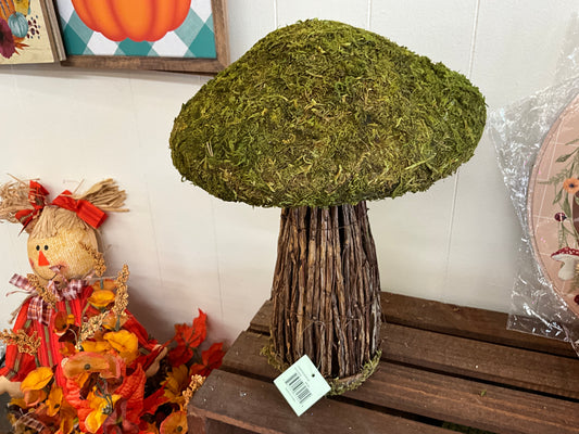 12” moss /TWIG mushroom￼