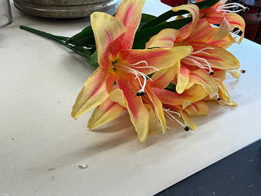 Pinkish yellow Lilies￼