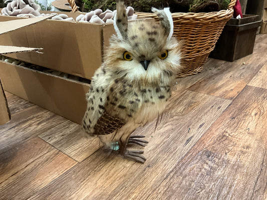 10.5” standing speckled hoot owl ￼