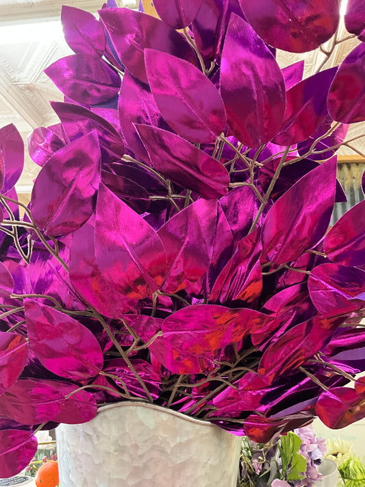 Hot purple ficus - CancreekDesigns