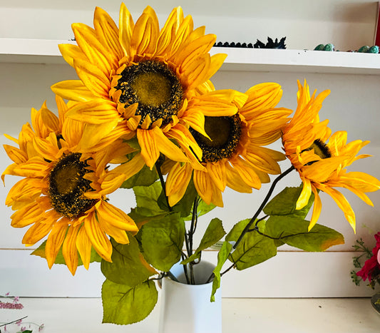 Sunflower 6 heads