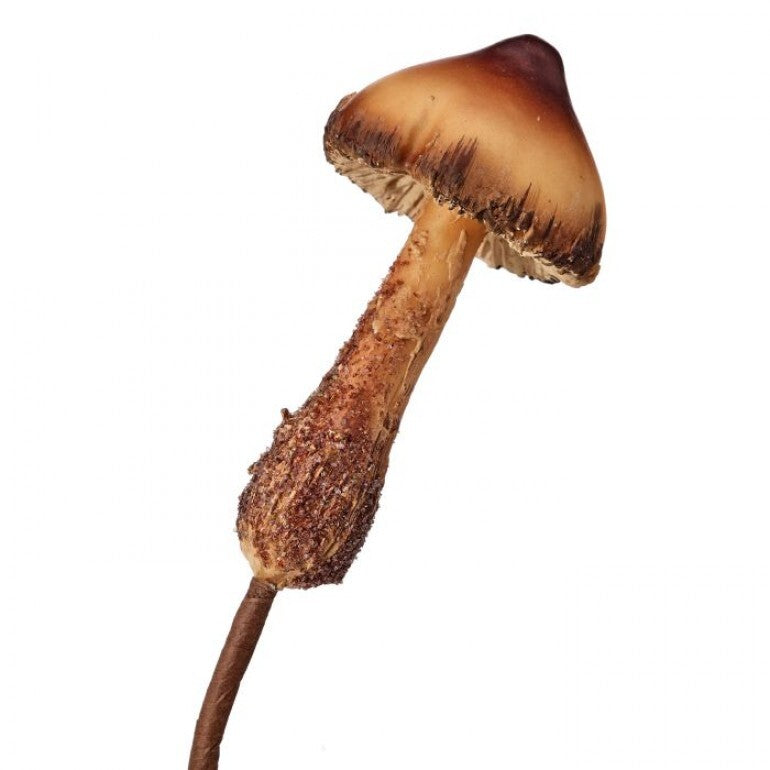 11" DEEP FOREST PETITE MUSHROOM PICK