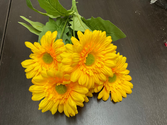 Yellow Daisy