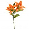 PE DAY LILY X2 +BUD 14"