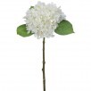 19" NEW ENGLAND HYDRANGEA STEM