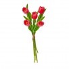 14" PU SPRING TULIP BUNDLE X5