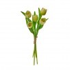 14" PU SPRING TULIP BUNDLE X5