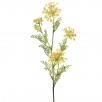 FIELD YARROW STEM X 4 38"
