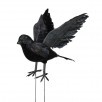 9" OPEN WING FEATHER BLACK CROW	 9" OPEN WING FEATHER BLACK CROW