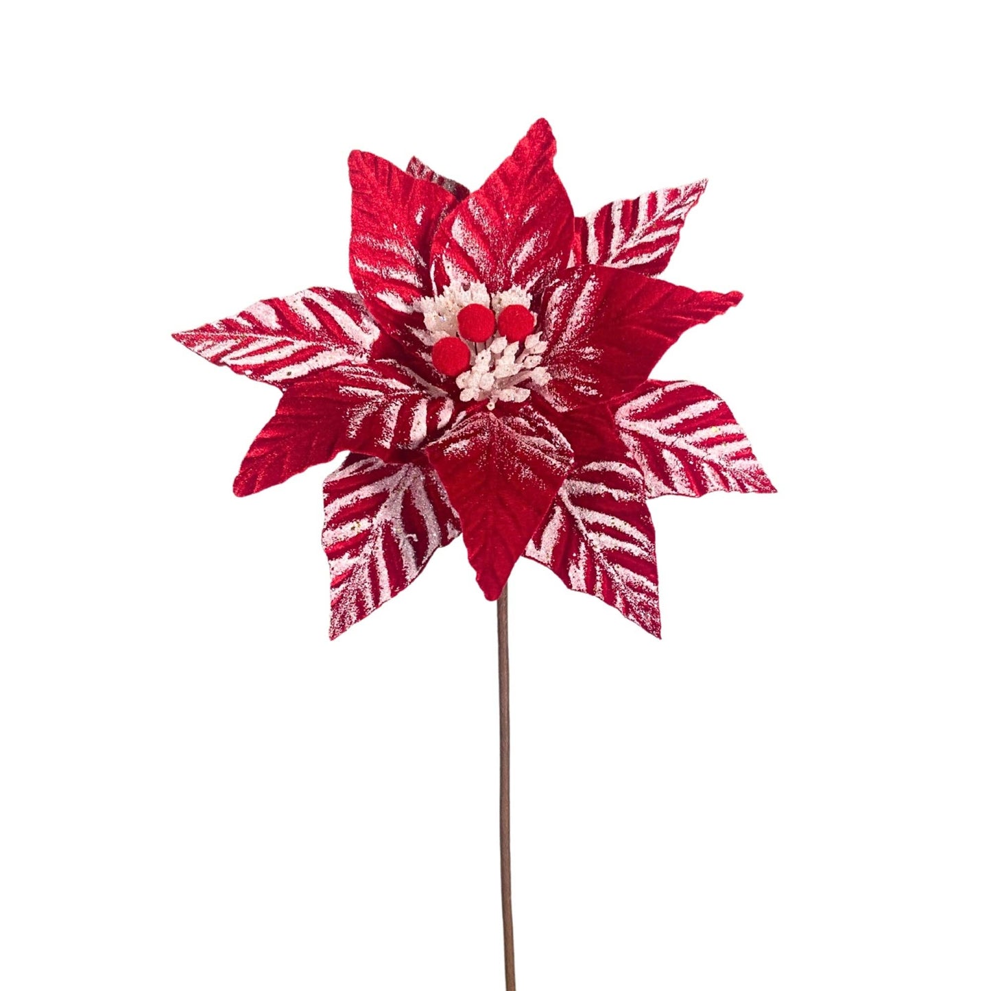 Touched by Snow Poinsettia 24” - Red/White