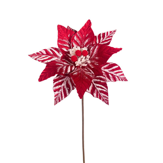 Touched by Snow Poinsettia 24” - Red/White