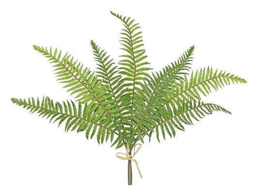 Soft Touch Sword Fern Bundle, #FL6433-G