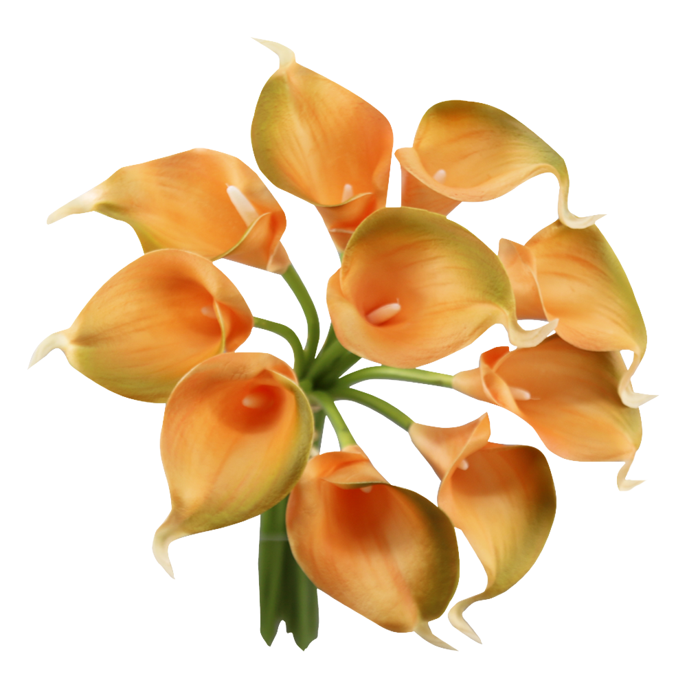 Pack of 10-Peach Coral Brown real touch 14inch calla lilies: Tangerine