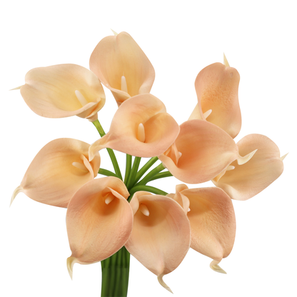 Pack of 10-Peach Coral Brown real touch 14inch calla lilies: Tangerine