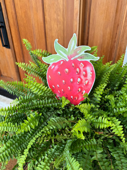 Strawberry Love : Flower Pot