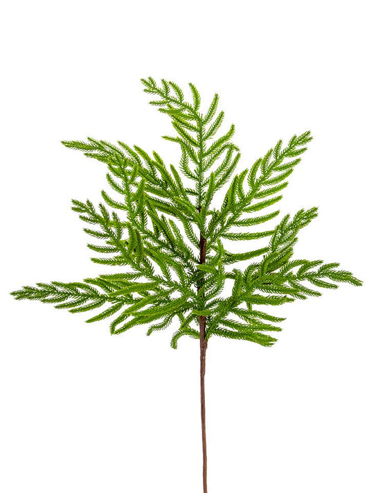33" NORFOLK PINE SPRAY: GREEN
