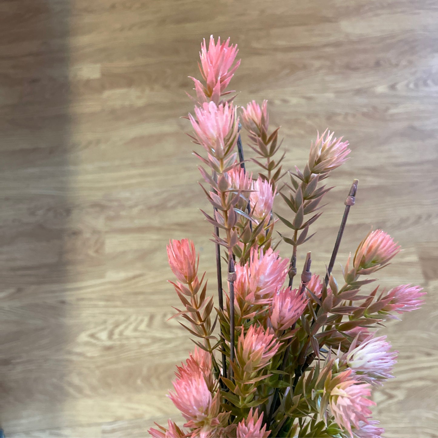 Pink /green Filler Bush - CancreekDesigns