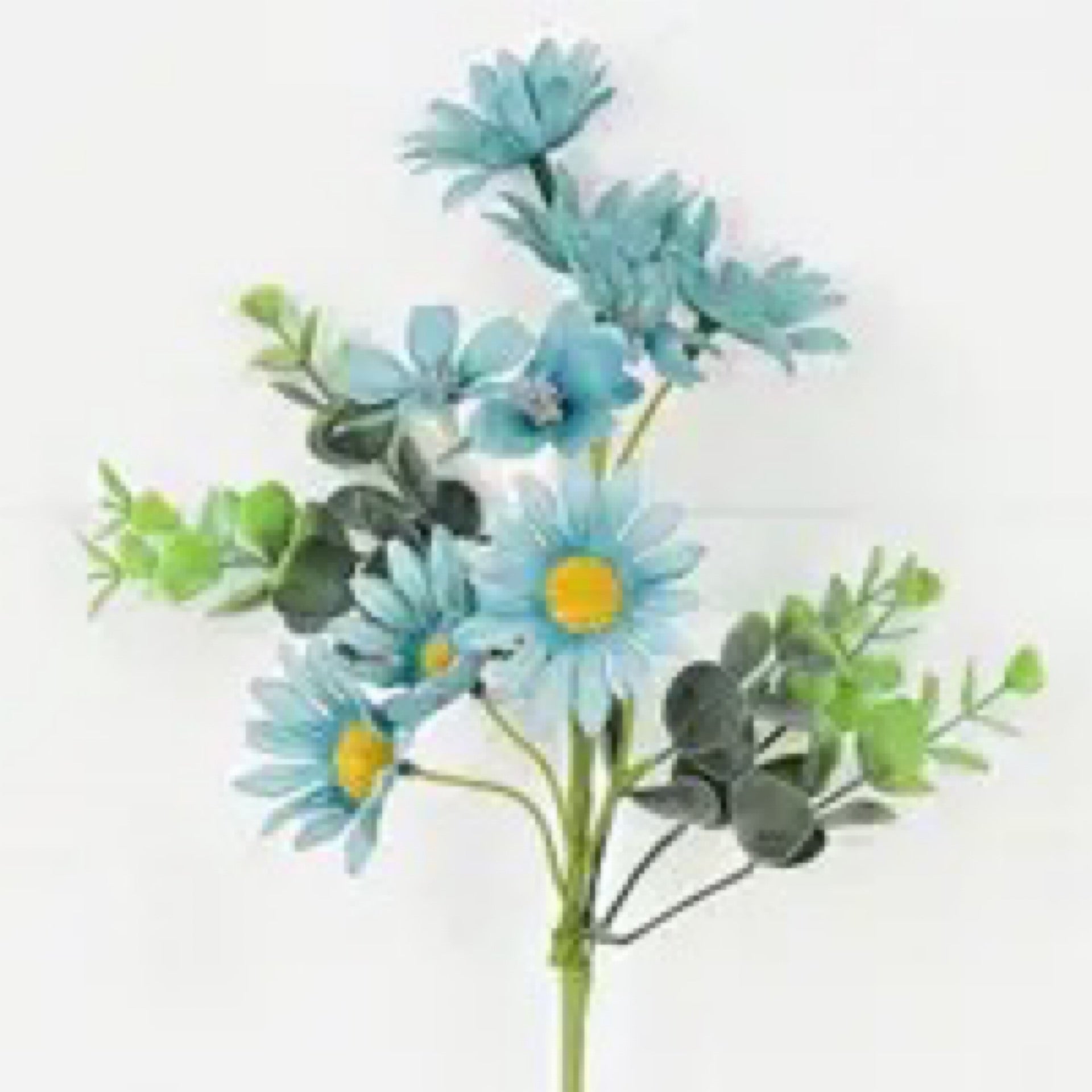 Mixed Gerber Daisy Blue - CancreekDesigns