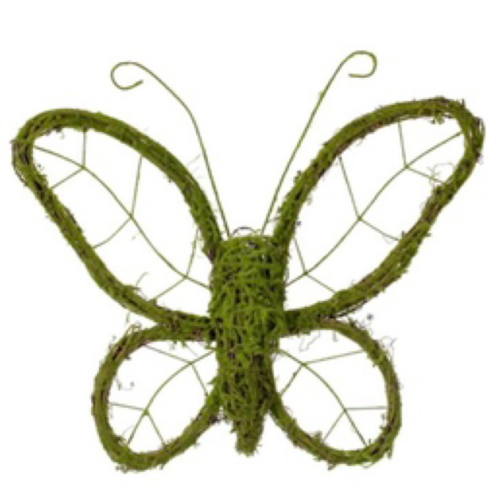 Vickerman 13"H Butterfly Outline Wreath. Measures 13" tall by 15" wide. - CancreekDesigns