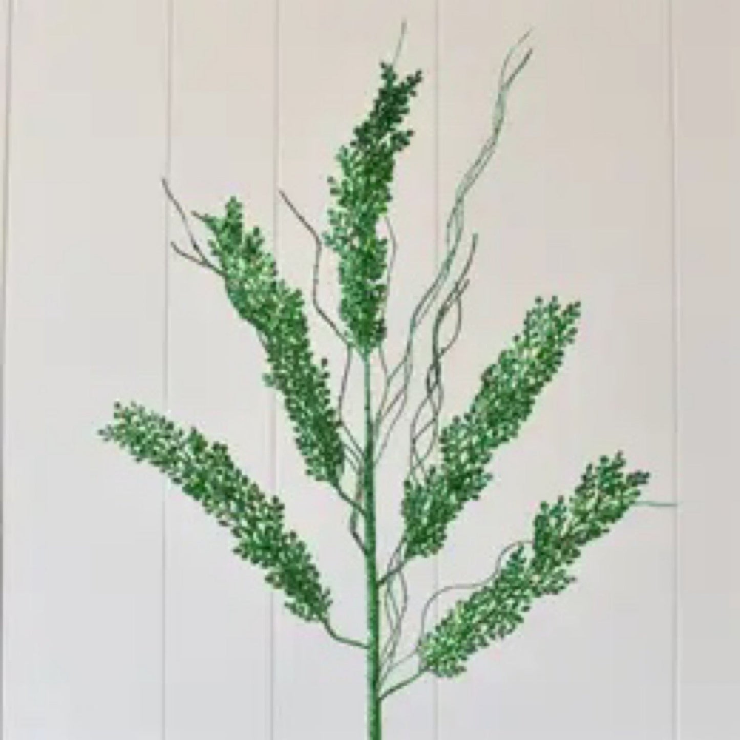 Emerald maiden fern - CancreekDesigns