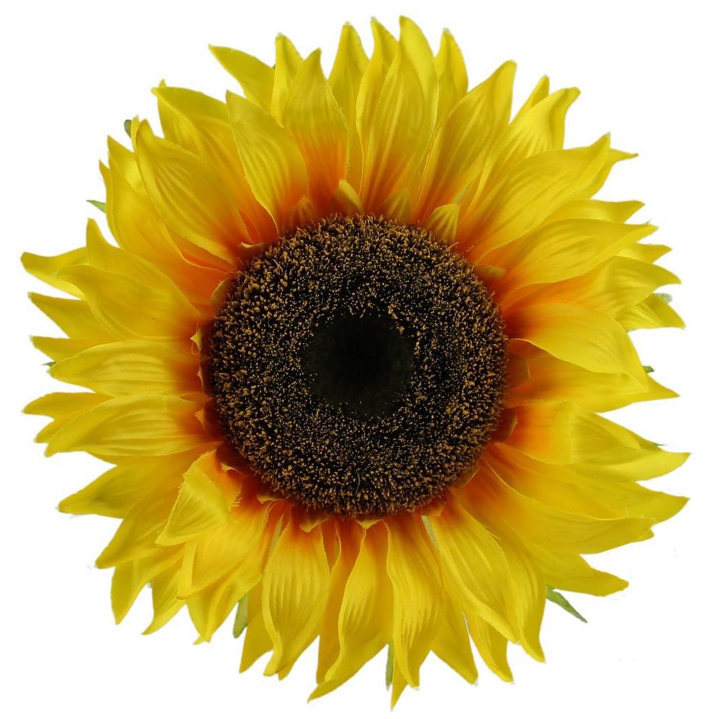 15 Dia Sunflower Head - CancreekDesigns