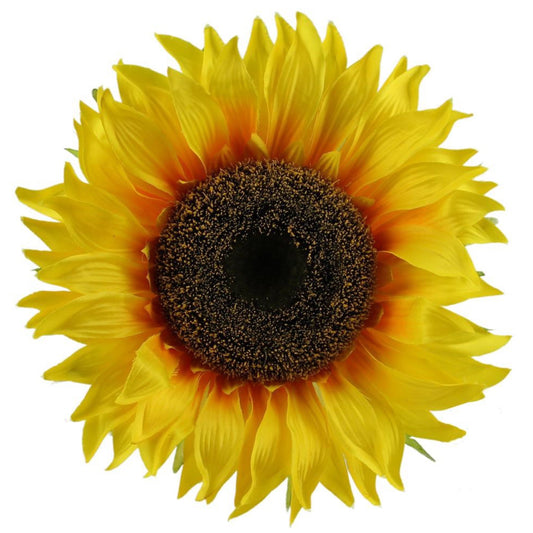 15 Dia Sunflower Head - CancreekDesigns