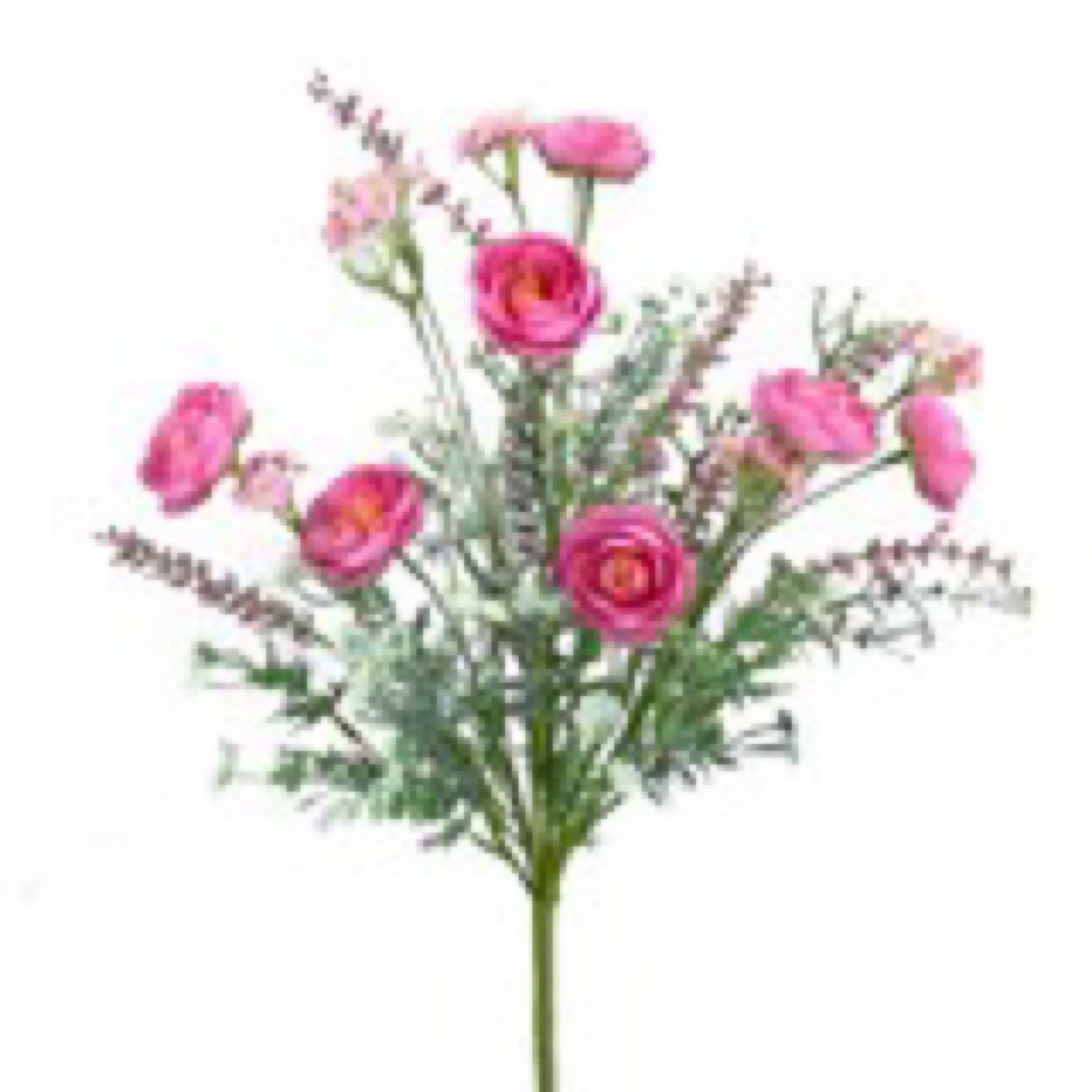 Pink ranunculus filler bush - CancreekDesigns