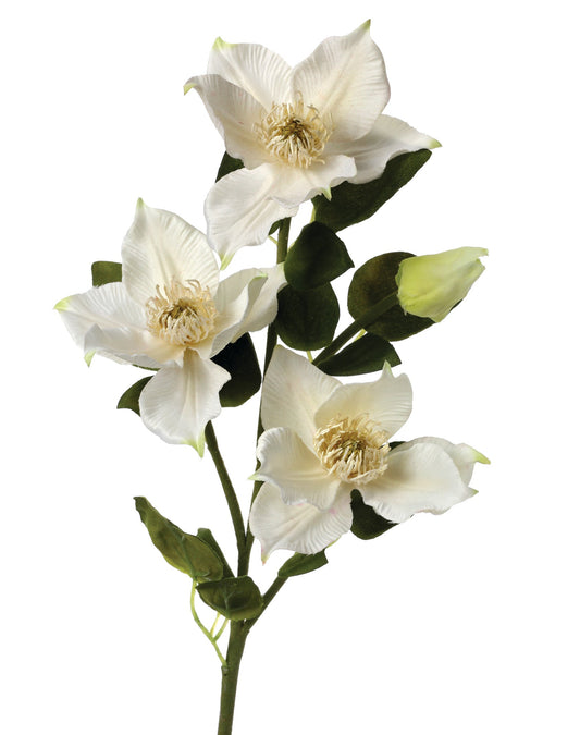 Helleborus Spray 20" - CancreekDesigns