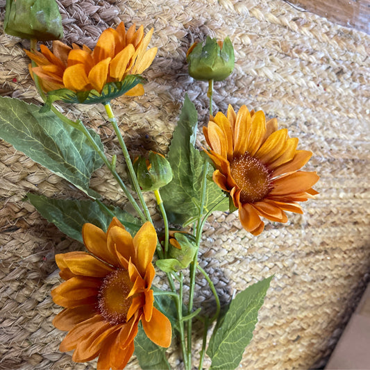 Wild sunflower orange - CancreekDesigns