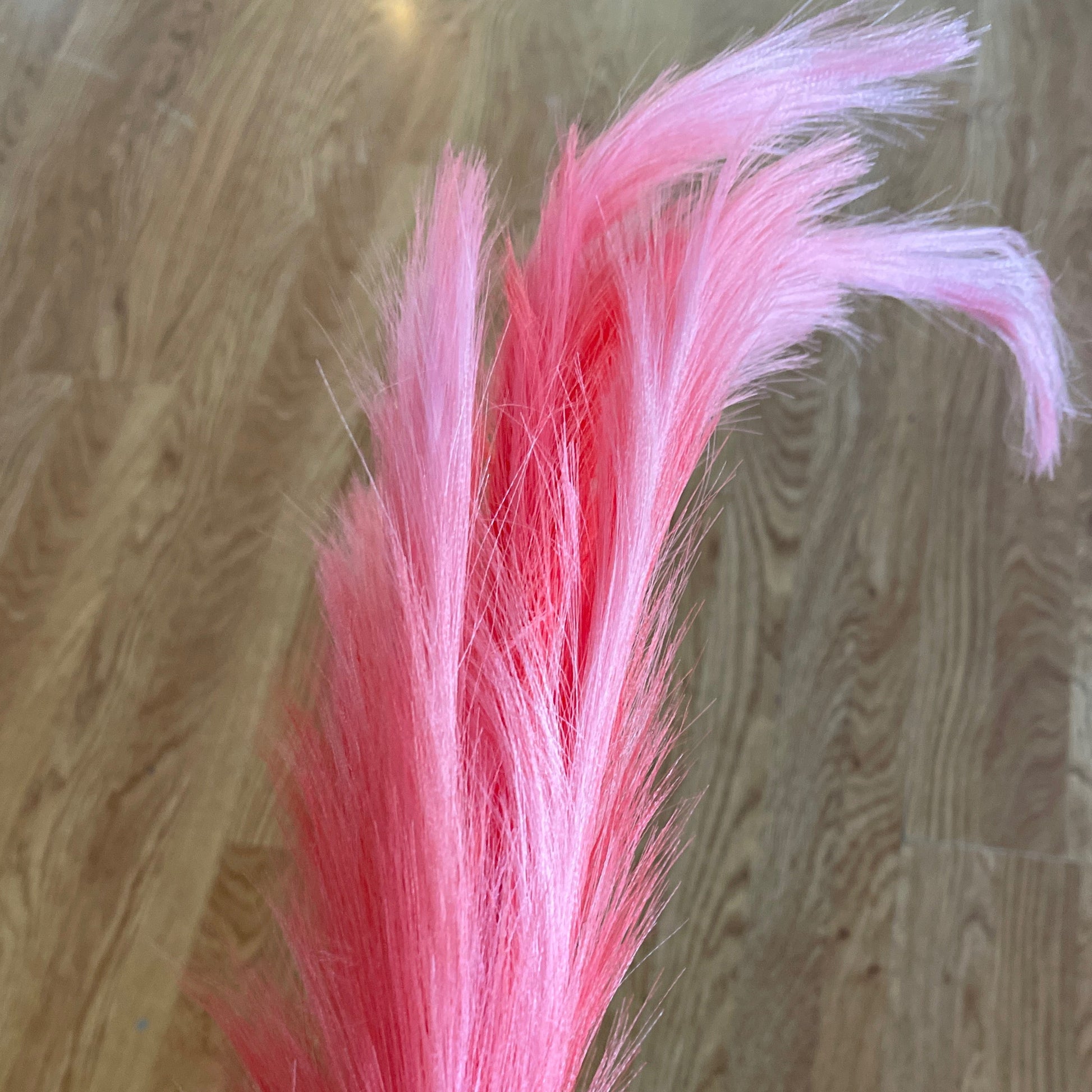 Pompus Grass Pink - CancreekDesigns