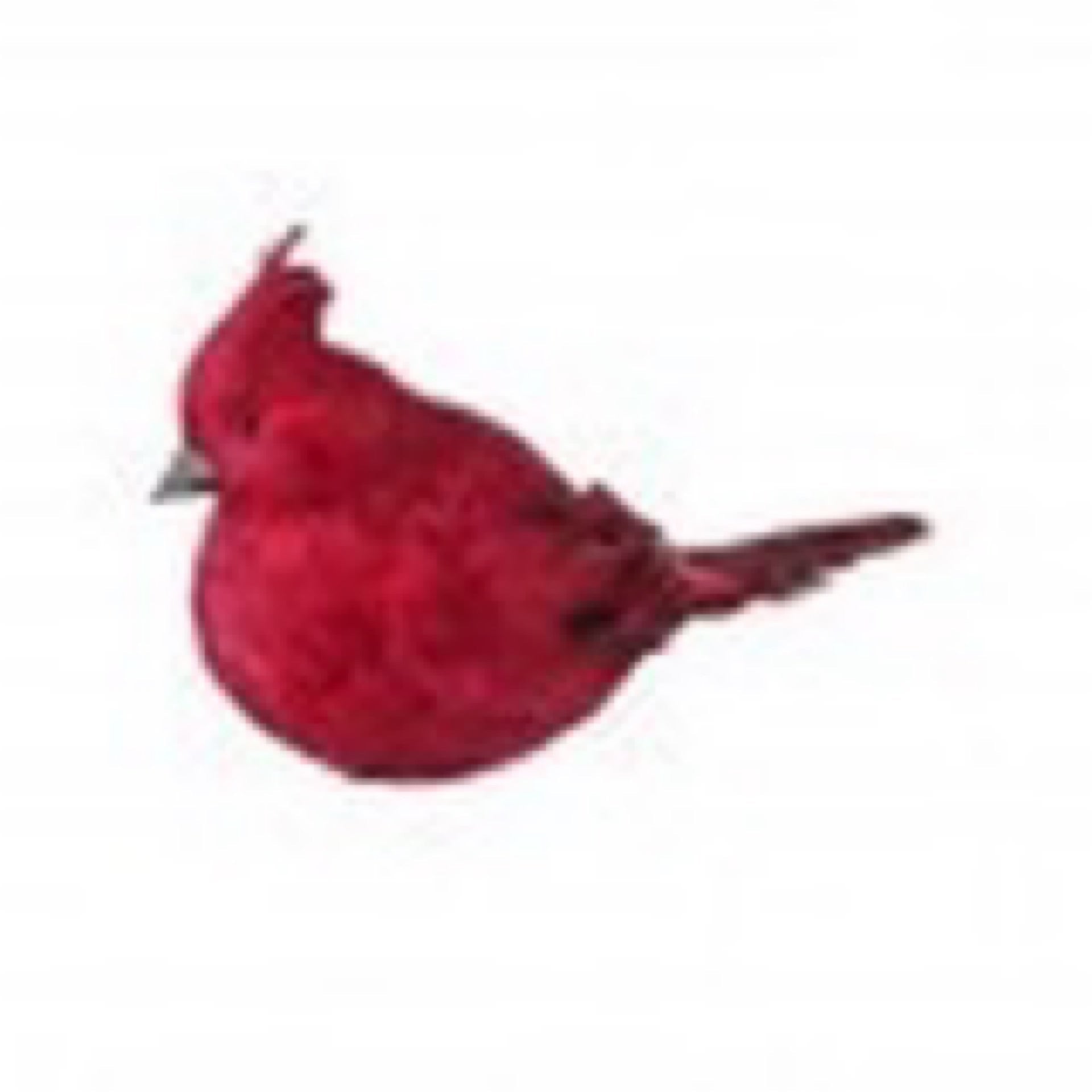 18" RED FEATHER CARDINAL - CancreekDesigns