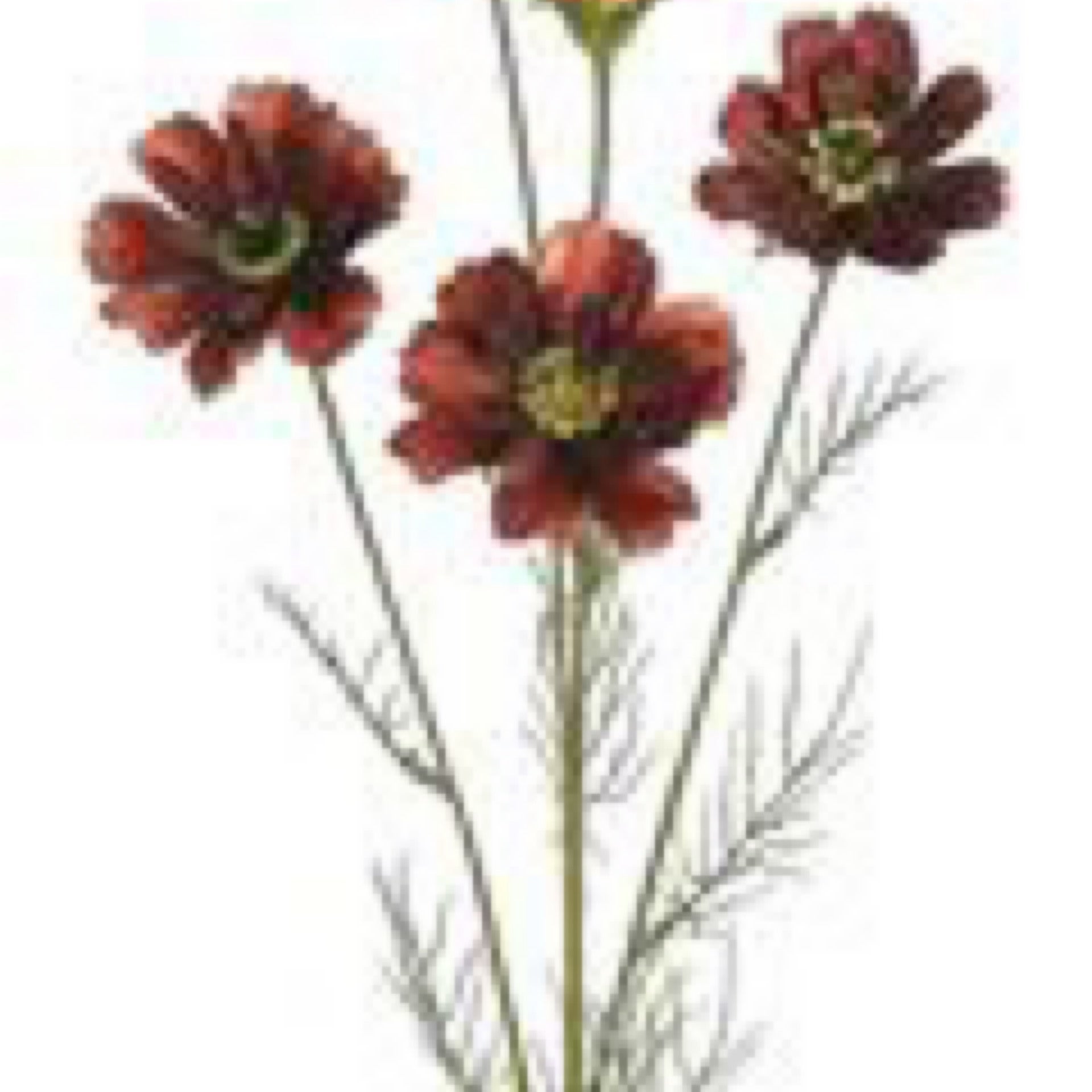 COSMOS SPRAY X4 WITH BUD, 31", BURGUNDY/RED - CancreekDesigns