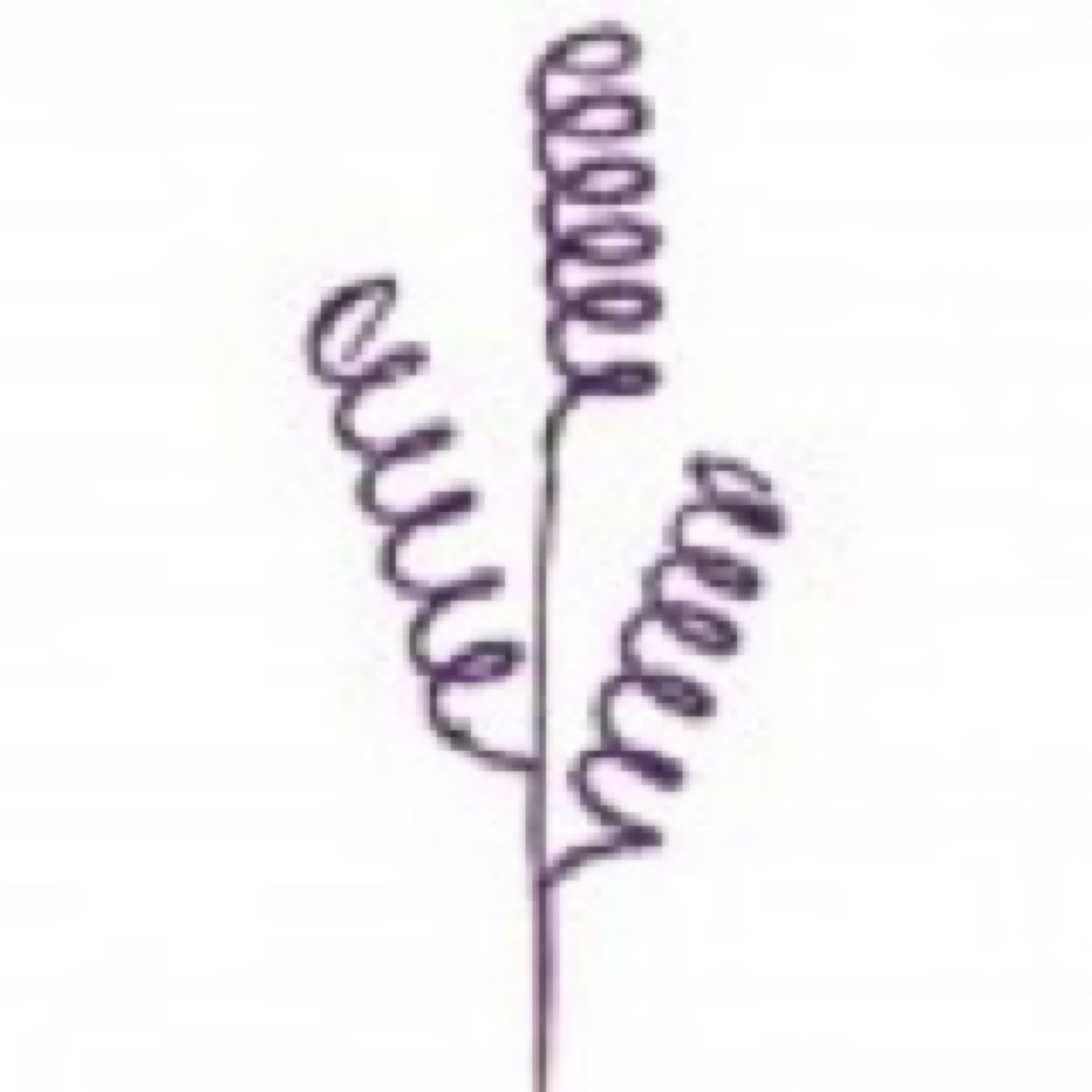 28 inch glitter curly can you spray purple - CancreekDesigns